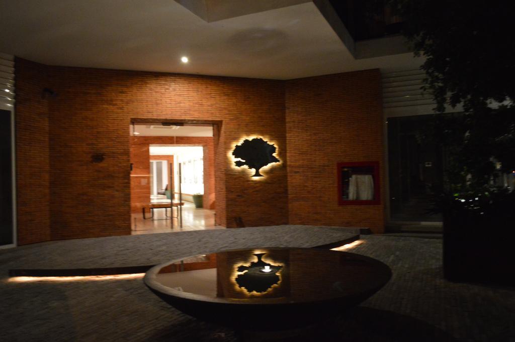 The Park 203 Vallarta Zona Romantica プエルトバラータ エクステリア 写真